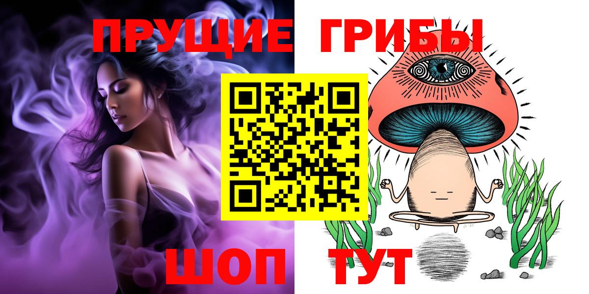 Галлюциногенные грибы Psilocybe Холмск