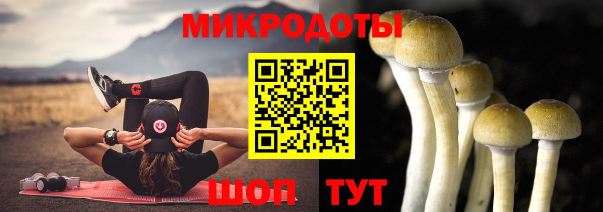 Псилоцибиновые грибы ЛСД  Вход с VPN  Псилоцибиновые грибы Psilocybe  Холмск 