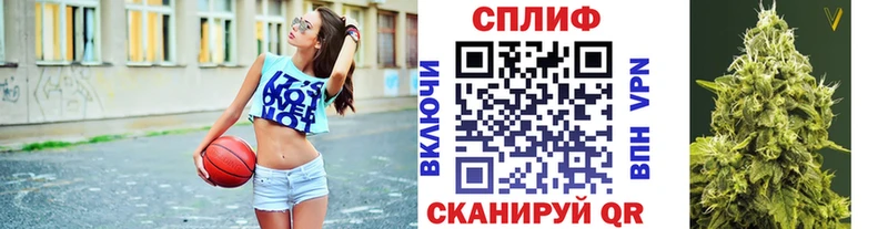где продают   Холмск  Бошки Шишки план 