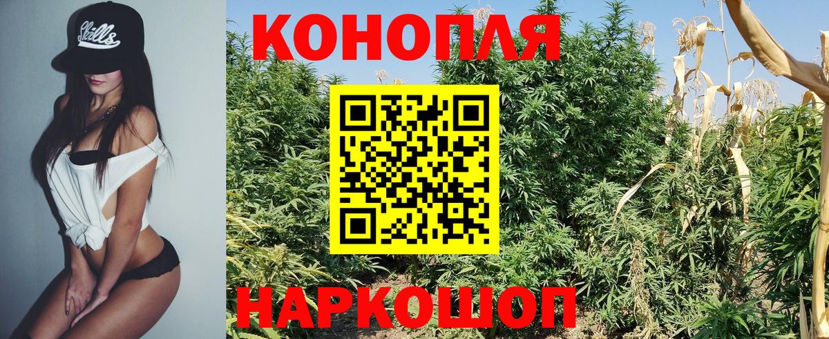 Бошки Шишки план  Канабис планчик  Канабис ГИДРОПОН  Холмск  Вход с VPN 